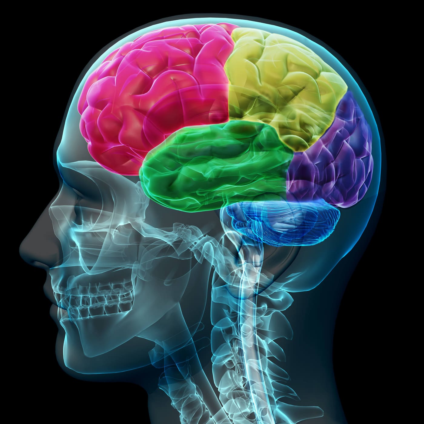 Tipos de neuromarketing