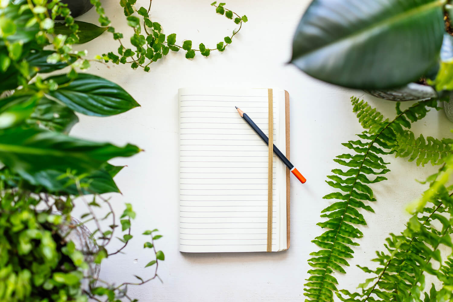 ¿Cómo escribir textos emocionales?