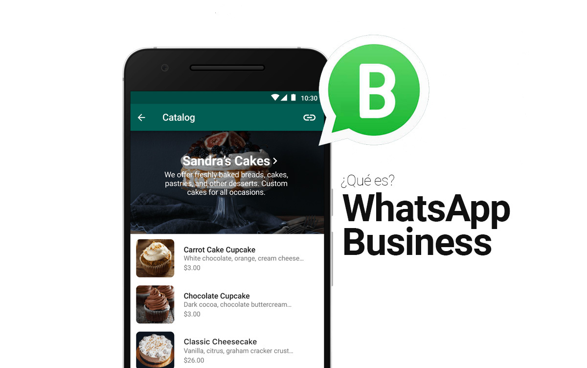 whatsapp business